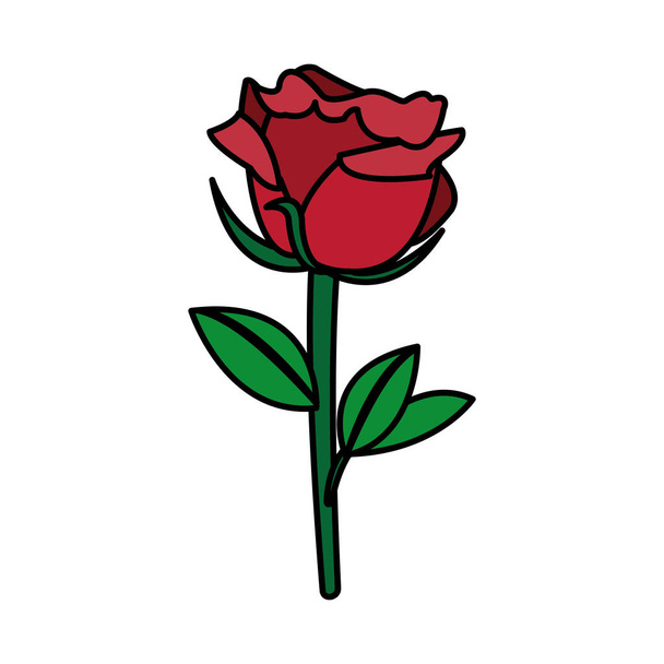 beautiful nature rose design decoration - Vector, Image