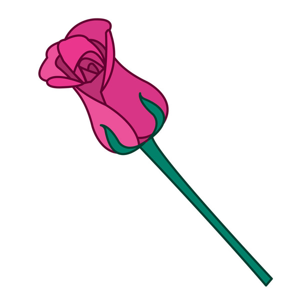 Изолированная роза
 - Вектор,изображение