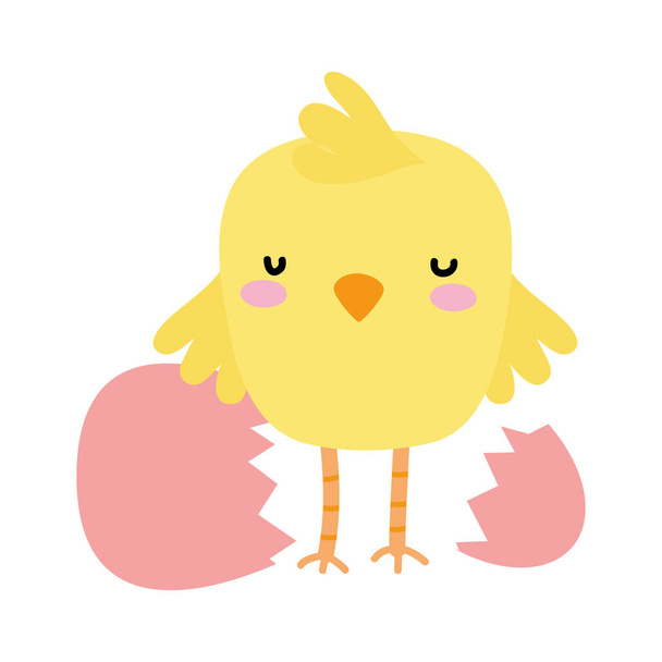 colorful chick farm bird animal broking egg - Vector, Imagen