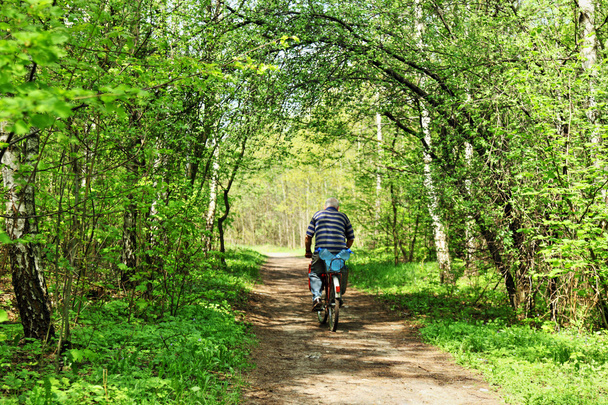 motociclista na floresta - Foto, Imagem