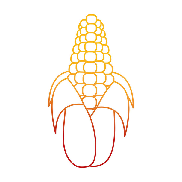 Izolované kukuřice design - Vektor, obrázek