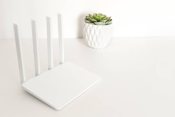 white wifi router on white background with succulent plants. minimalism - Foto, immagini
