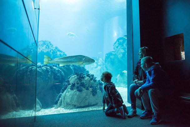 Familie beobachtet Fischschwärme beim Schwimmen im Ozeanarium - Foto, Bild