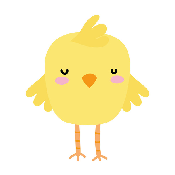 colorful chick bird farm animal with wings - Vektor, obrázek