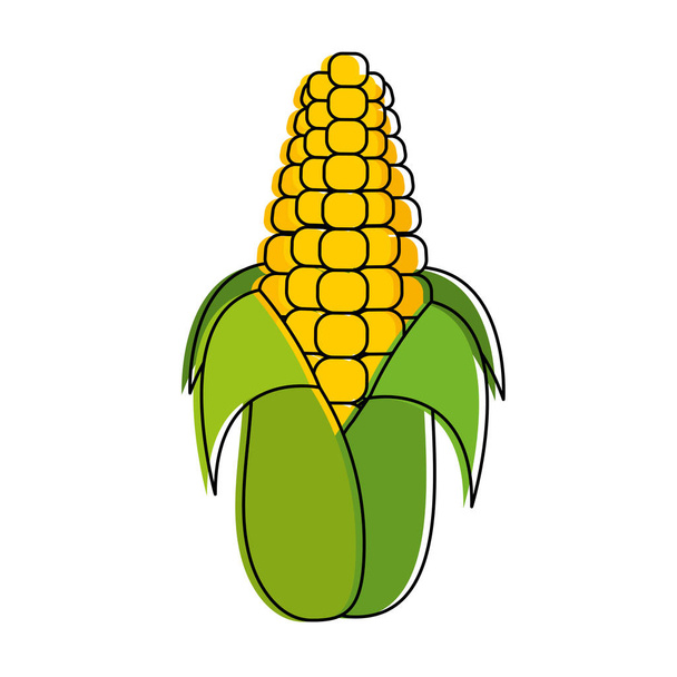 Izolované kukuřice design - Vektor, obrázek