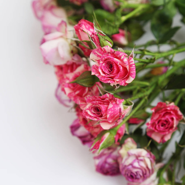 Studio image of dried roses - Foto, immagini