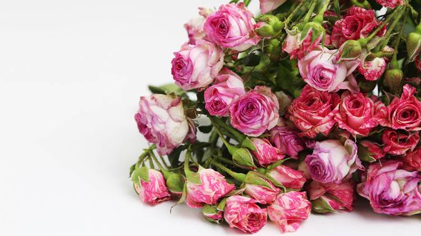 Studio image of dried roses - Photo, Image