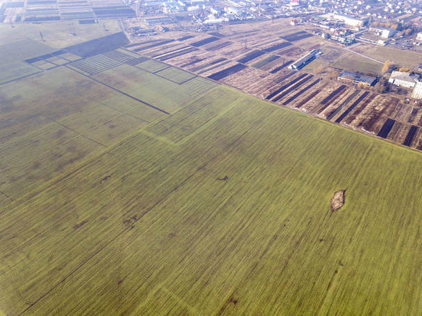 農業景観、平面図。日当たりの良い緑の麦畑、ドローン - 写真・画像