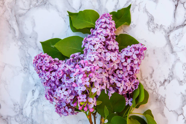 Blossom gallyakból lila márvány háttér - Fotó, kép