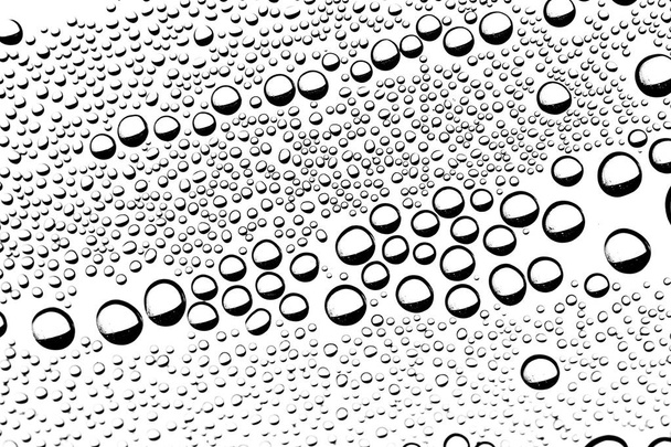 condensation water drops - Foto, imagen