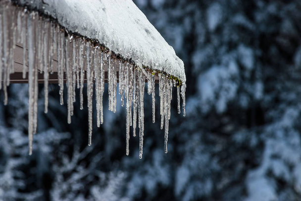 katto peitetty valkoinen lumi ja jääpuikot
 - Valokuva, kuva