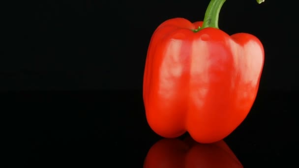 Bella grande matura peperoncino rosso dolce paprica rotante su una superficie a specchio e sfondo nero
. - Filmati, video