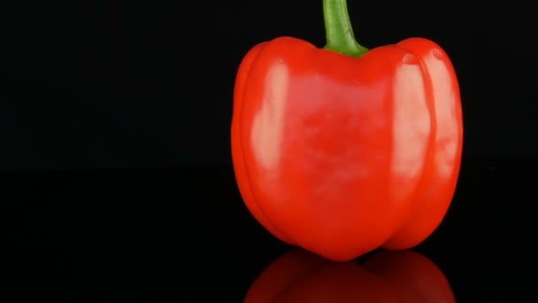 Krásná Velká zralá červená sladká paprikou, která se otáčí na zrcadlovém povrchu a černé pozadí. - Záběry, video