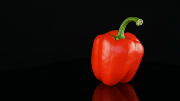 schöne große reife rote Paprika Paprika rotierend auf einer Spiegeloberfläche und schwarzem Hintergrund. - Filmmaterial, Video
