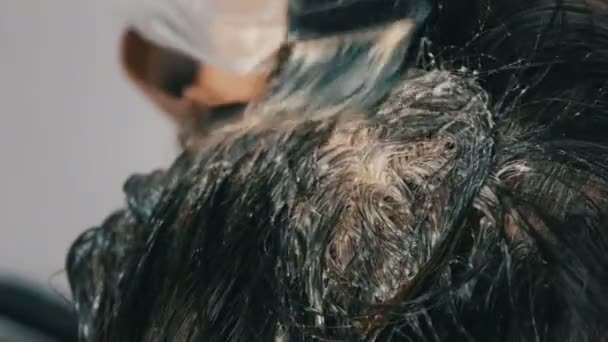 The overgrown gray roots of a middle-aged woman who dues her hair herself with special brush, looks close up. Dark hair and white roots of a womans head on a white background. Hair care close up view - Footage, Video