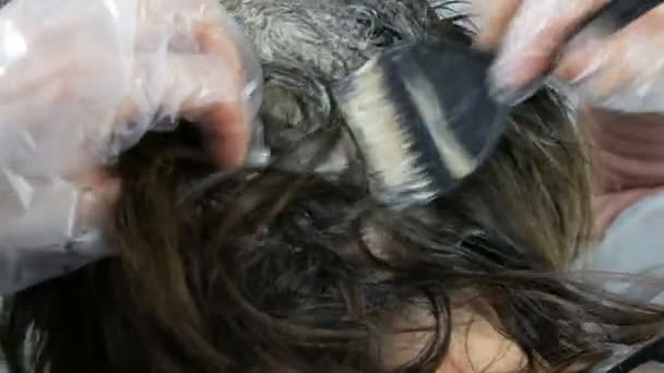 graue Haare an den Wurzeln von Frauen, überwucherte graue Wurzeln einer Frau mittleren Alters, die ihre Haare selbst mit einem speziellen Pinsel färbt, schauen aus der Nähe. Haarpflege aus nächster Nähe - Filmmaterial, Video