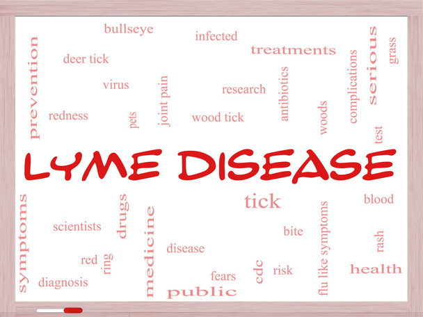 Lyme Disease Word Cloud Concept em um quadro branco
 - Foto, Imagem