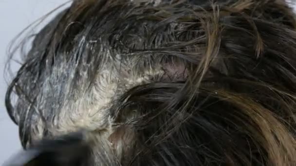 graue Haare an der Wurzel der Frau, die zu Hause Haare mit Spezialfarbe und Pinsel färbt - Filmmaterial, Video