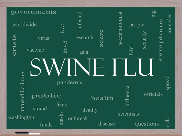 Nuage de mots sur la grippe porcine Concept sur un tableau noir
 - Photo, image