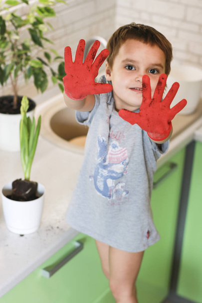 Little girl gardener with plants in the room. Transplants flowers into pots. A little girl in red gloves plants flowers at home. Gardening. Care of home plants. - Photo, Image