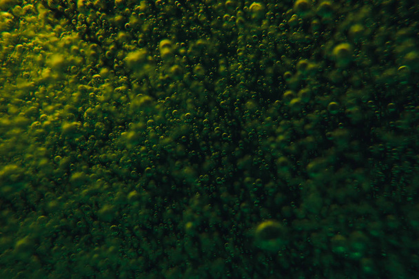 grüne Hintergrundblasen Wasser. Nahaufnahme. - Foto, Bild