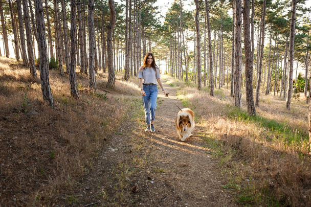 fiatal gyönyörű nő séta a kutya skót juhászkutya. - Fotó, kép
