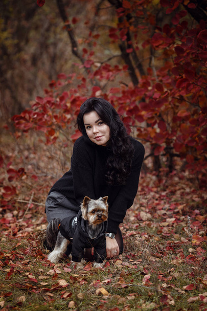 Linda chica joven con yorkshire terrier perro
 - Foto, Imagen