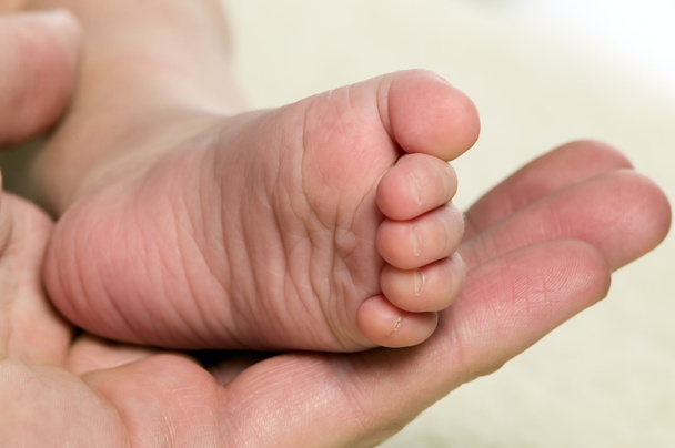 Mother is holding baby's foot - Fotografie, Obrázek