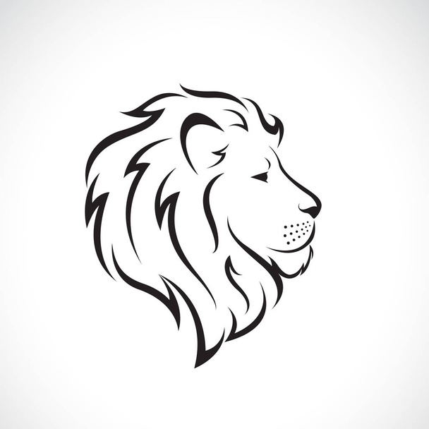 Vecteur de tête de lion mâle sur fond blanc
.,  - Vecteur, image