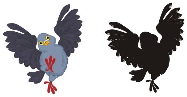 funny modré holubice a jeho stín - Fotografie, Obrázek