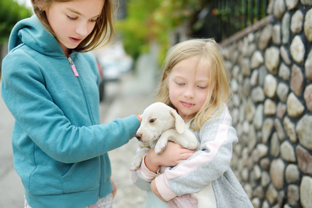 Two cute young sisters holding small white puppy outdoors. Kids playing with baby dog on summer day. - Photo, Image