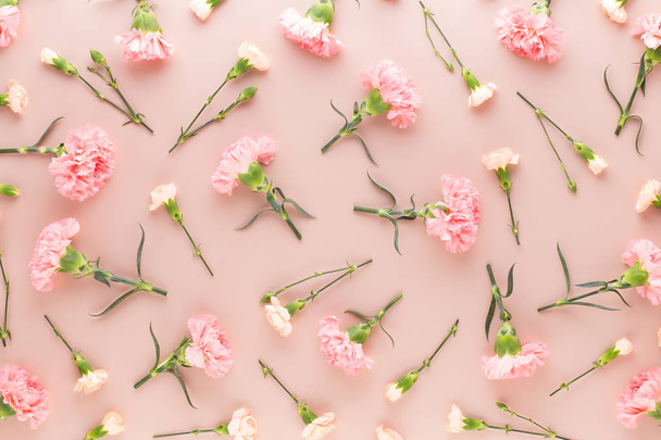 Ροζ γαρύφαλλο λουλούδια σε παστέλ φόντο. Επίπεδη lay, κορυφαία προβολή, - Φωτογραφία, εικόνα