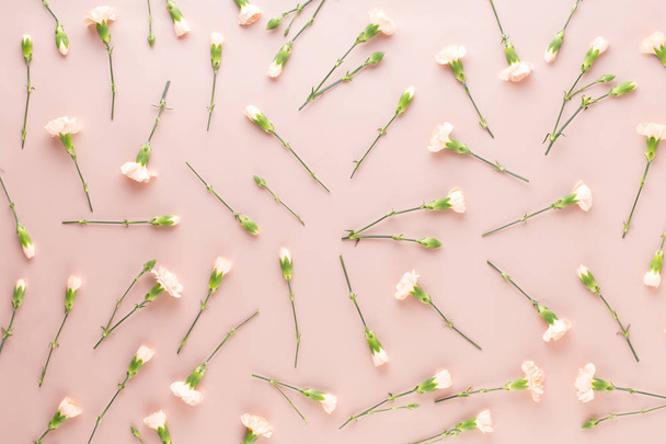 Pink carnation flowers on pastel background. Flat lay, top view, - 写真・画像
