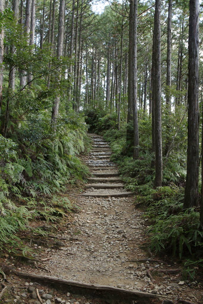 Rutas de peregrinación Kumano Kodo en Wakayama, Japón
 - Foto, imagen