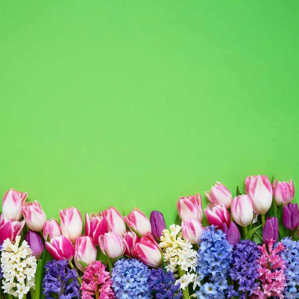 Jacintos y tulipanes rosas sobre fondo verde. Vista superior, espacio de copia. Tarjeta de felicitación
. - Foto, Imagen