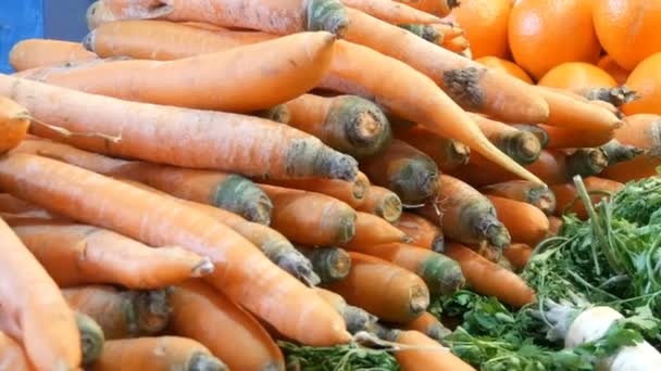 Różnych warzyw na ladzie rynku produktów spożywczych. Zdrowa żywność, błonnik, dieta, napis w języku węgierskim. - Materiał filmowy, wideo