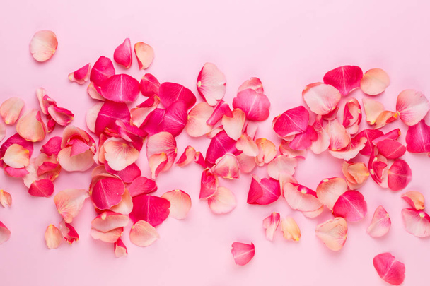 Valentine's Day. Rose flowers petals on white background. Valent - Foto, afbeelding