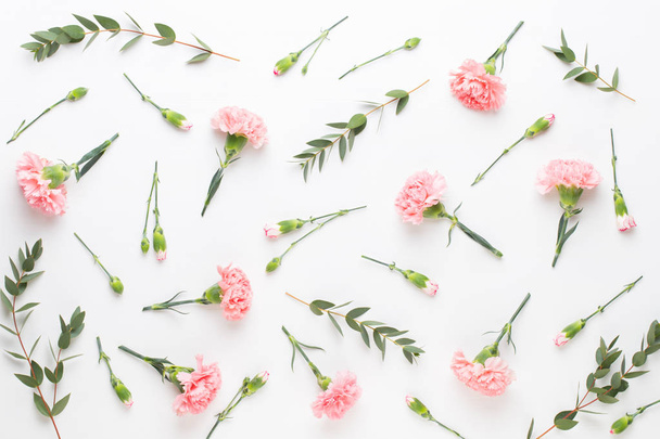 Pink carnation flowers on white background. Flat lay, top view,  - Foto, Bild
