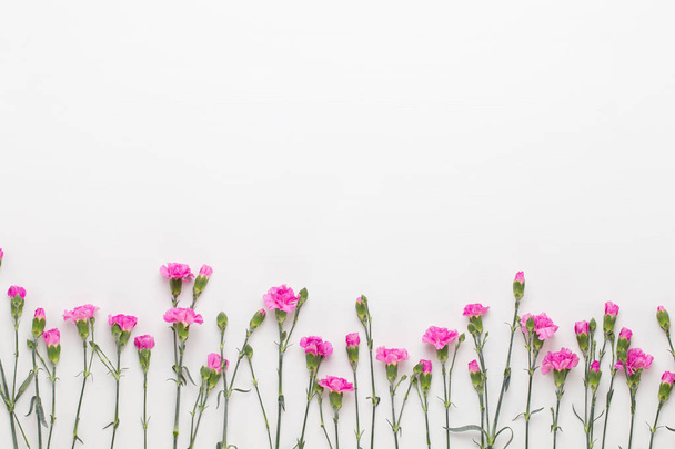 Pink carnation flowers on white background. Flat lay, top view,  - Fotó, kép