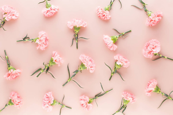 Pink carnation flowers on pastel background. Flat lay, top view, - Фото, зображення