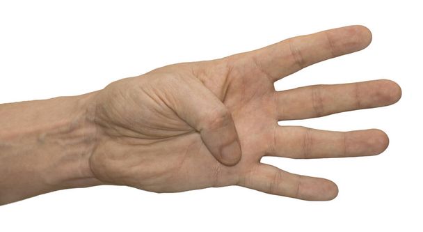 Gest ręki Wyświetlono cztery palce, gdy thumb jest składany. Ręka na białym tle, izolat. - Zdjęcie, obraz