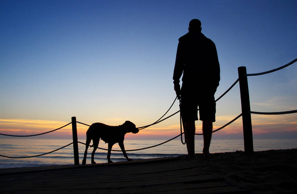 Adam köpekle yürüyor. Ayakta adam ve köpeği silueti. - Fotoğraf, Görsel