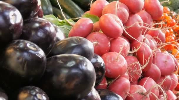 Verschiedenes Gemüse auf der Theke des Lebensmittelmarktes. gesunde Ernährung, Ballaststoffe, Ernährung, ungarische Inschrift. - Filmmaterial, Video