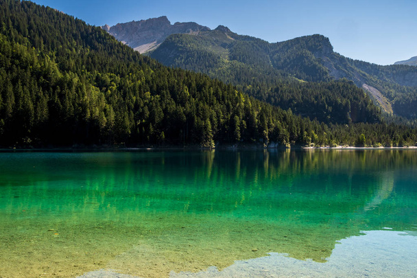Hermosa vista del lago Tovel, el más grande de todos los lagos naturales en Trentino en el Adamello Brenta Park
. - Foto, Imagen