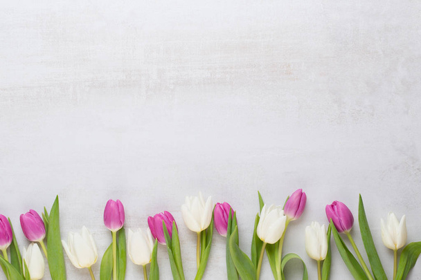 Spring greeting card, pastel color tulips on the gray background - Photo, image