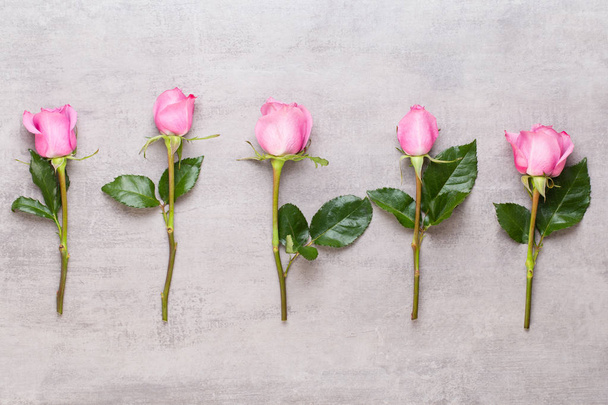 Flowers valentine day composition. Frame made of pink rose on gr - Φωτογραφία, εικόνα
