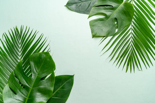 Tropical palm leaves with copy space - Φωτογραφία, εικόνα