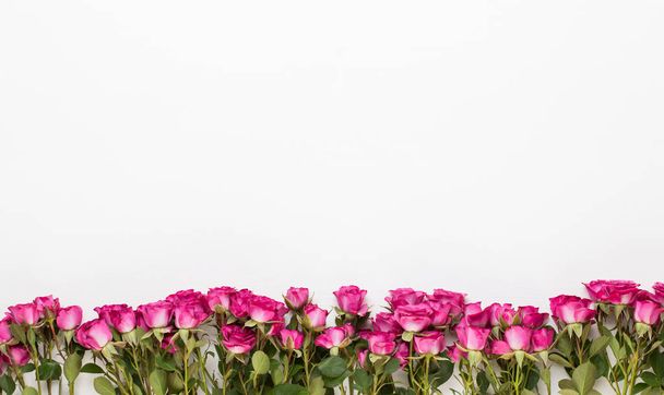 Composición de flores. Marco de rosa roja sobre respaldo de madera blanca
 - Foto, Imagen