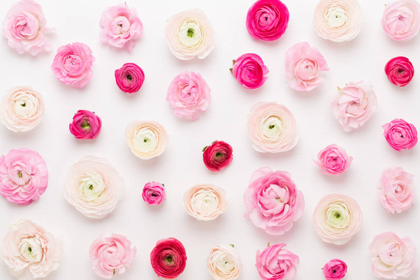Beautiful colored ranunculus flowers on a white background. Spri - Foto, afbeelding