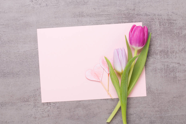 Spring greeting card, pink color tulips on the gray background. - 写真・画像